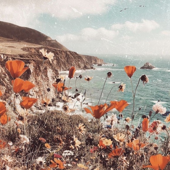 Meet your Posher, Marisa - Picture 6 of 7